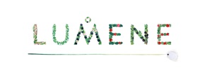 logo ingradients